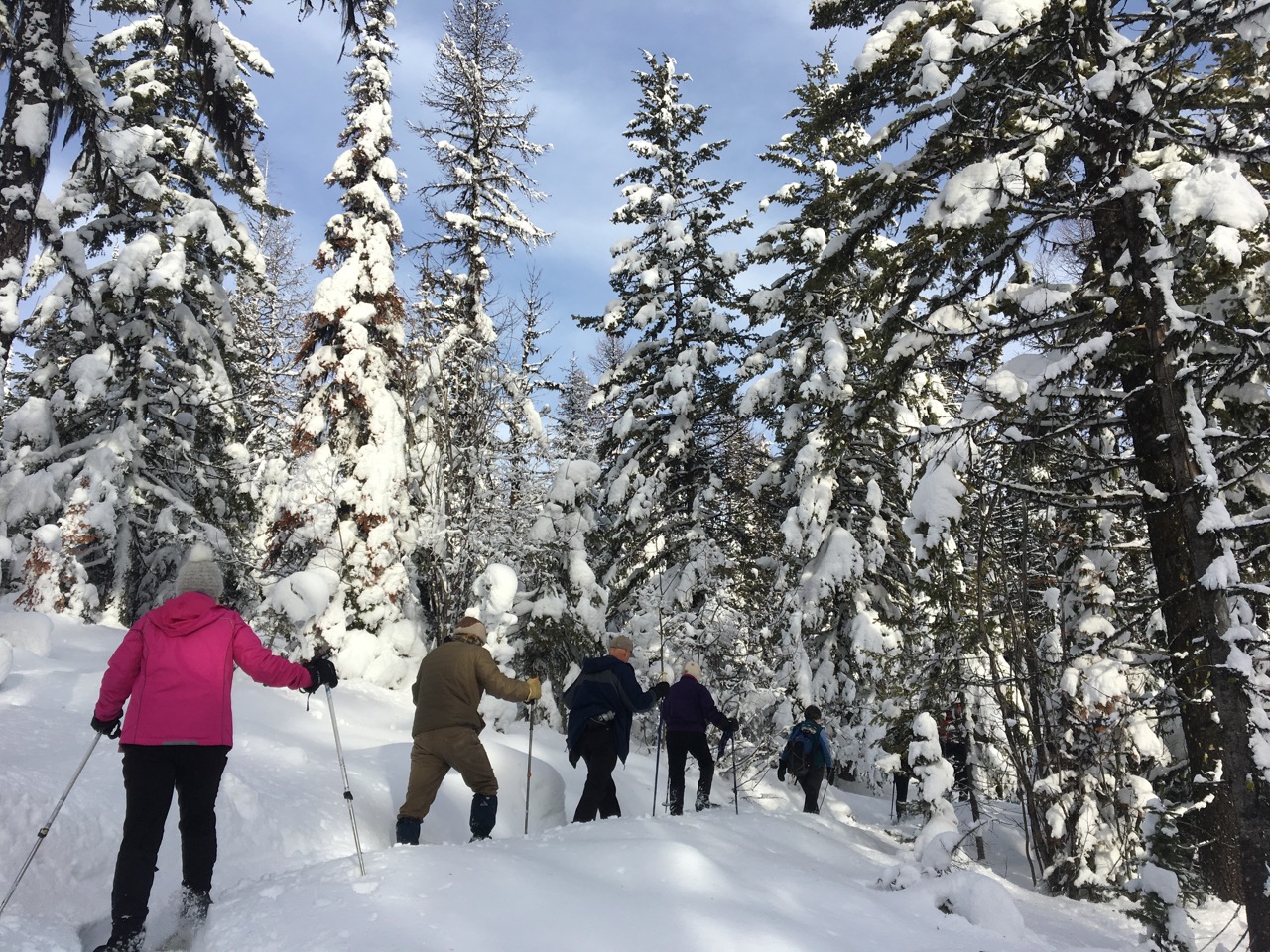 Snowshoeing